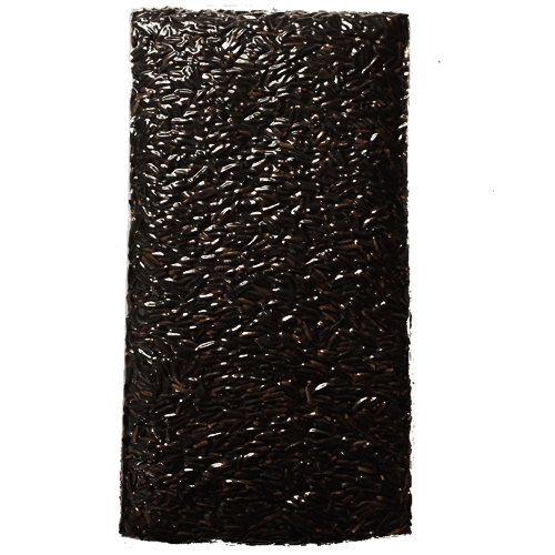 Gạo Dinh Dưỡng Đại lý Gạo ST25 Gạo Ông Cua chính hãng